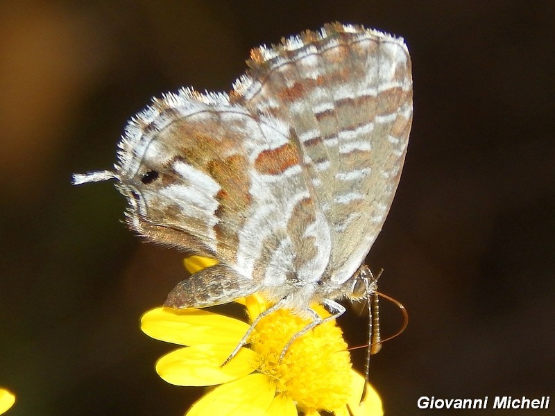 Parco del ticino :incontri del 25/9/14